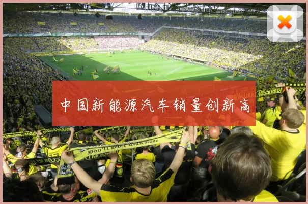 中国新能源汽车销量创新高